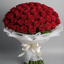 Букет 101 Красная роза Блэк Мэджик в Селижарово