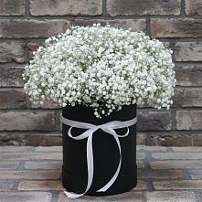 Цветочная композиция из Гипсофила в шляпной коробке #REPLACE_PRED# Селижарово