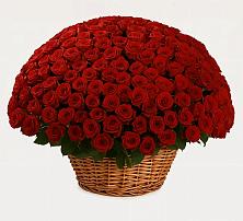 Премиум букет из: Розы в Селижарово