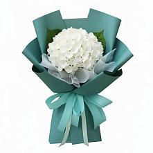 Букет цветов из:  Гортензия в Селижарово